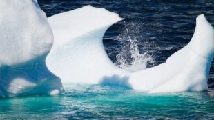 Smältande isblock i vatten