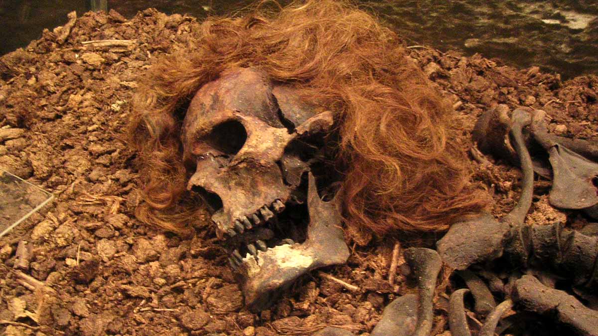Skelett av Bockstenmannen med hår bevarat.