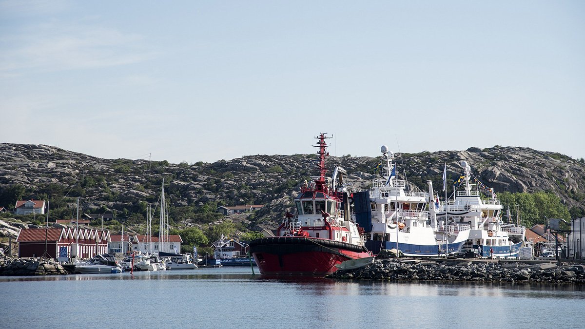 Fiskebåtar i hamn på västkusten