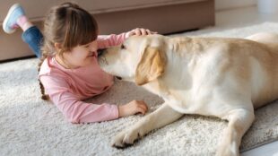 Flicka med rosa tröja leker med en hund på en matta.