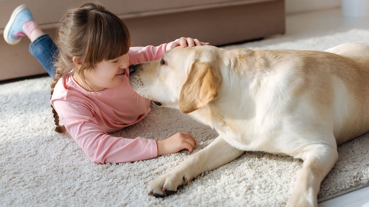 Flicka med rosa tröja leker med en hund på en matta.