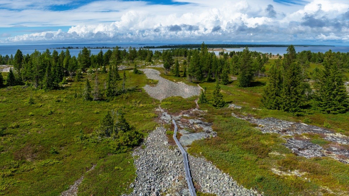 vy över skog i norra Sverige, sommartid, vatten vid horisonten