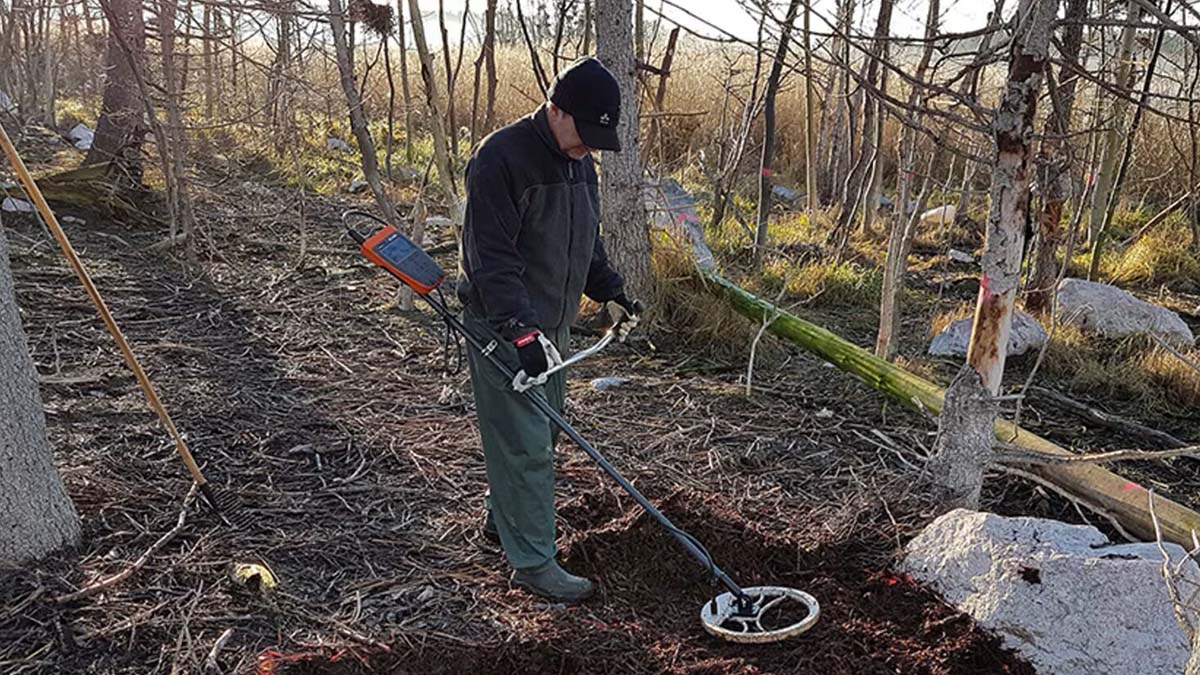 Forskare skannar mark i fågelområde