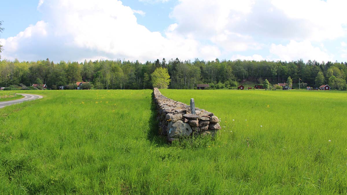 Stenmur i landskap