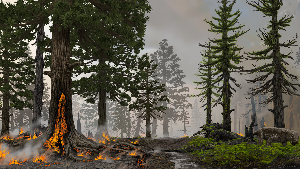 urtida landskap med träd och mark som brinner