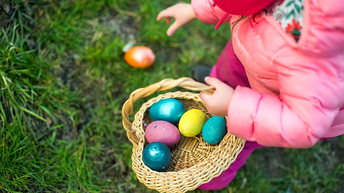 Barn med korg letar ägg