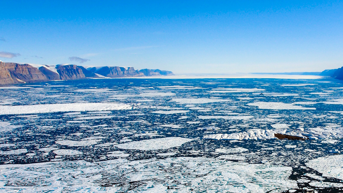 Stora isflak fyller fjorden i Grönland. Vid horisonten syns en sammanhängande massa av is, vilket är istungan.