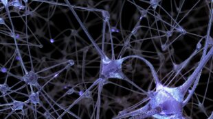 Illustration av kopplingar, synapser, mellan nervceller.