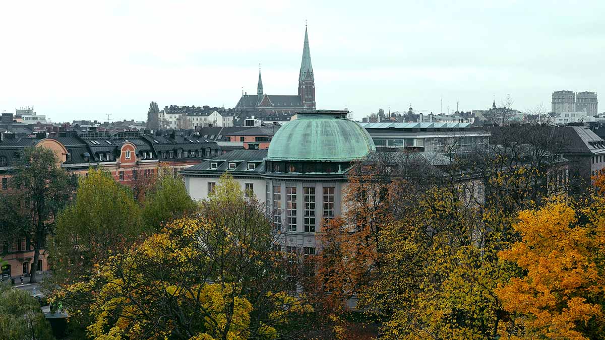 Träd i centrala Stockholm