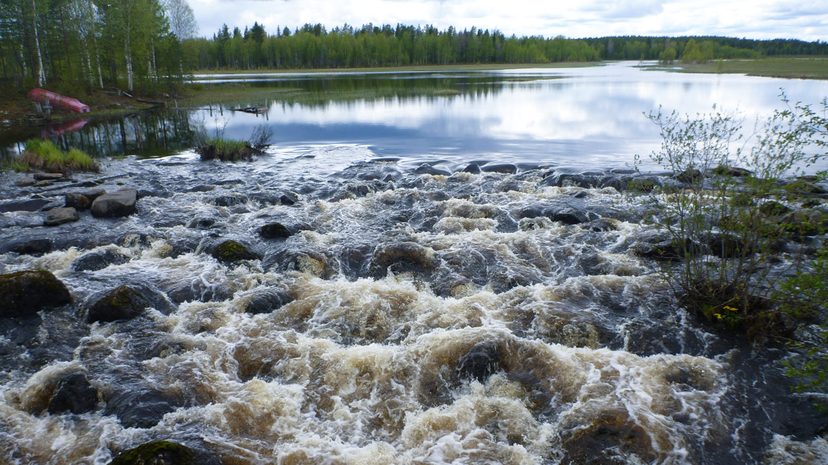 Vatten forsar över stenar i naturligt vattendrag i