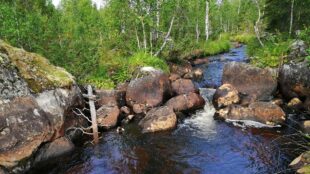 Vattendrag med en mindre fåra mellan stenbumlingar