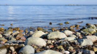 Stenar och vatten längs kusten