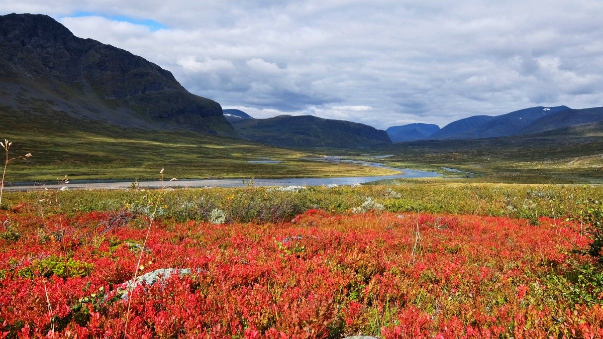 Högt berg, vatten och växtlighet, sommartid, röd växtlighet i förgrunden