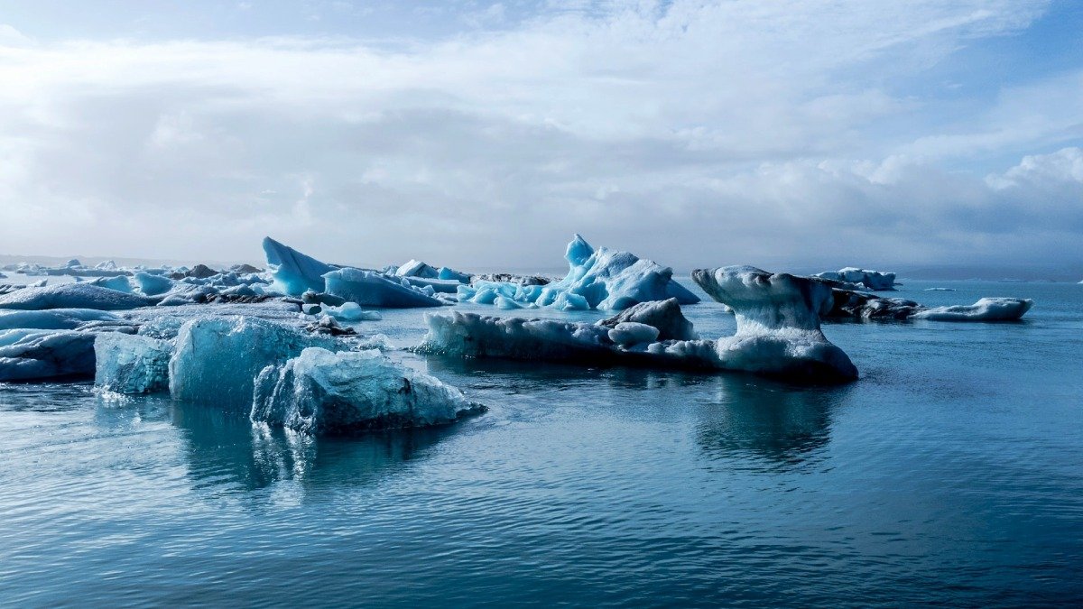 arktiskt hav med klumpar av is vid vattenytan