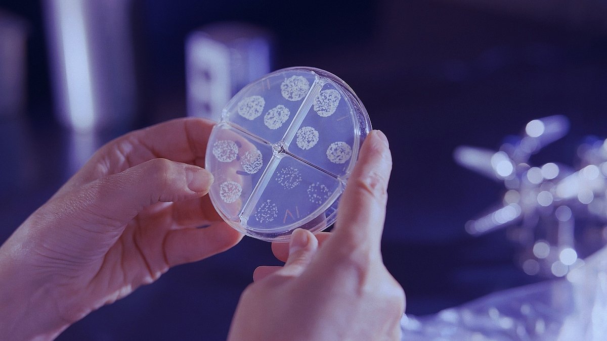 Två händer som håller i ett provglas med bakterieprover, labb.
