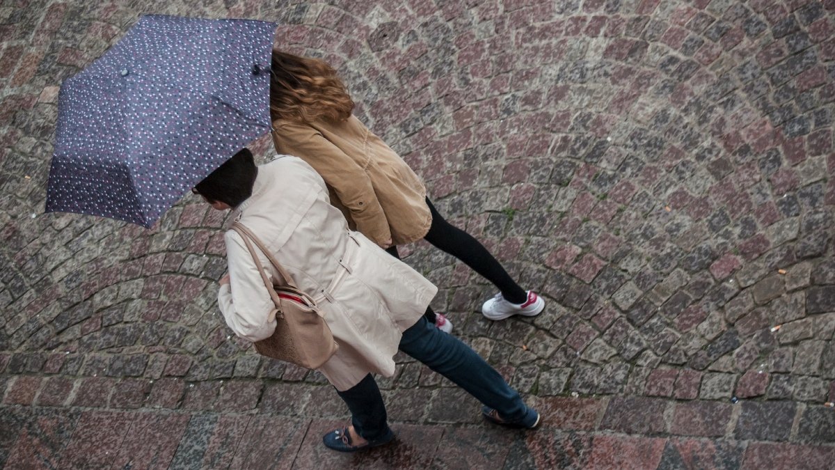 Två personer går under paraply, stadsmiljö.