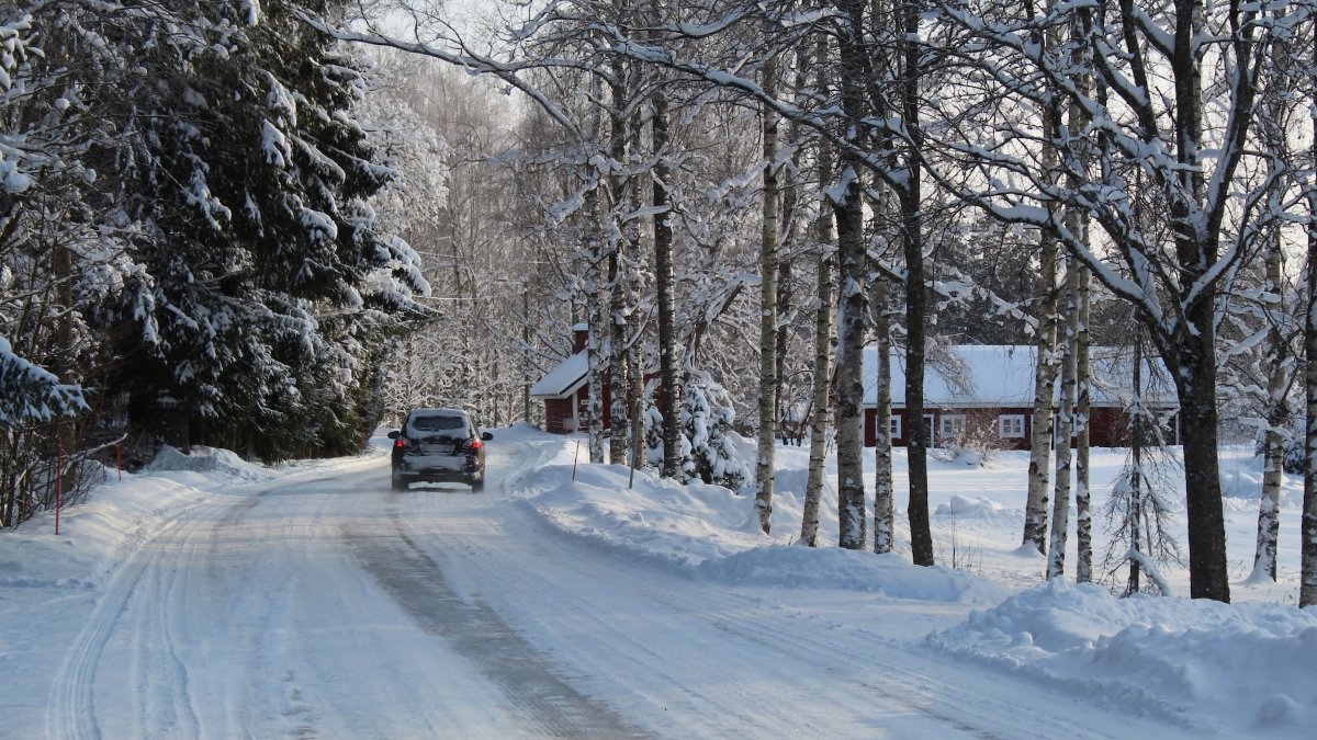 Liten landsväg och stuga täckta i snö, skog runtom.