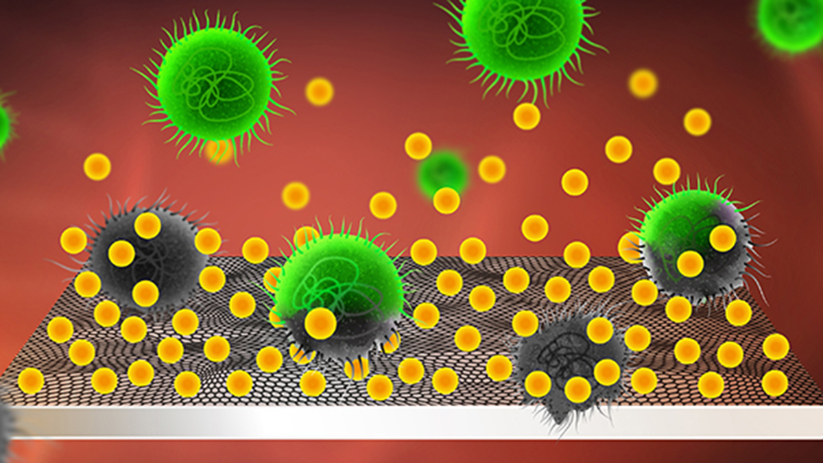 Illustration som visar hur usnic-syra dödar bakterierna och därmed förhindrar att bakterierna ska bilda biofilm på ytan.