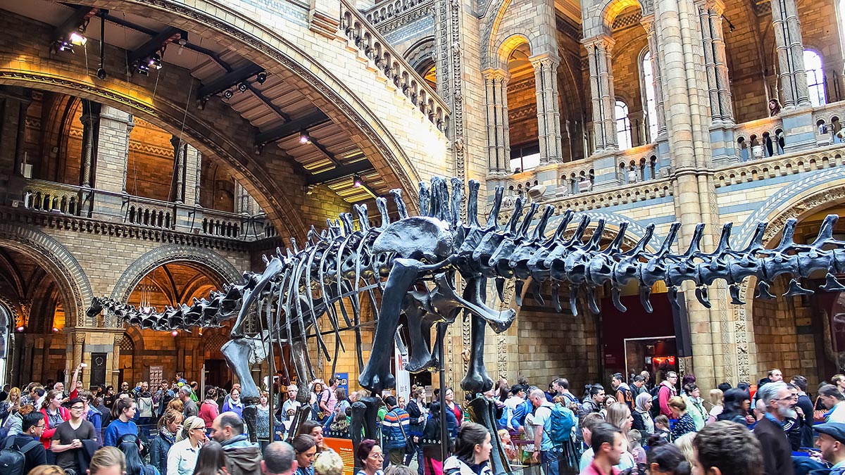 Bild från entréhallen på Naturhistoriska museet i London där människor samlats runt dinosaurien Dippy.
