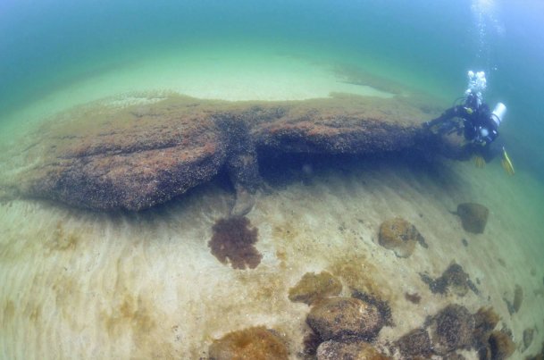 I mitten syns en trädstubbe som omslutits av en gyttjebank. Stubben är cirka 10600 år gammal. Dykaren på fotot är geologen Anton Hansson. Foto: Arne Sjöström