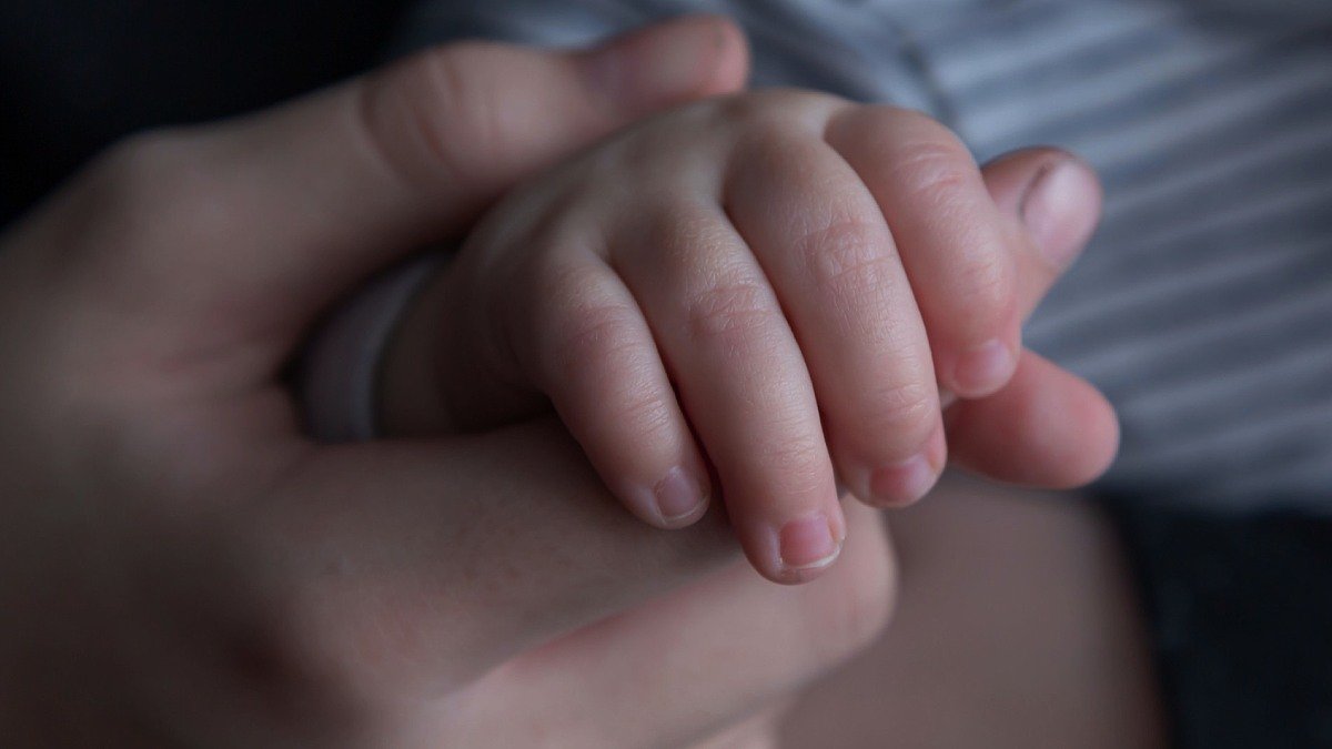 Bebishand hålls av vuxens hand.
