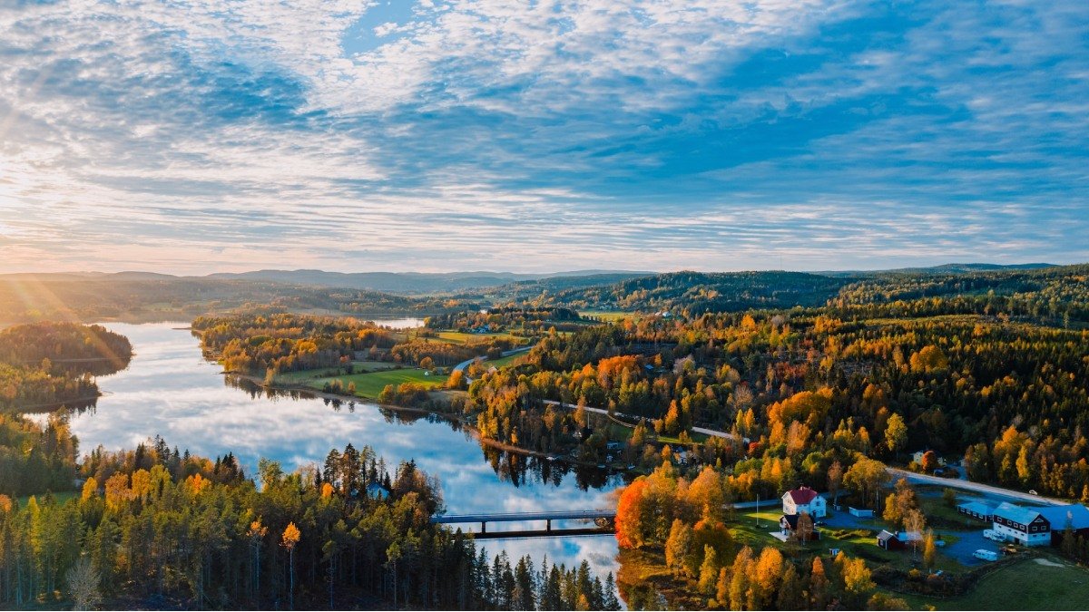 Höstvy över samhälle, flygbild, vatten och skog i olika färger.