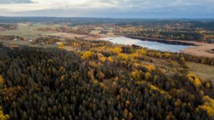 vy uppifrån av skogslandskap och jordbruksmark