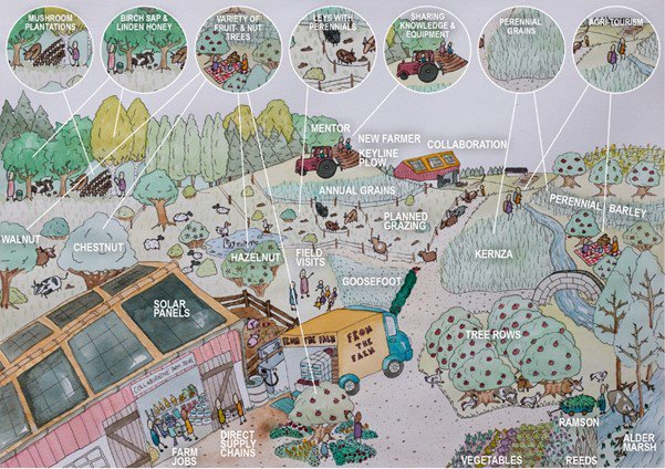 Illustration som visar ett jordbruk och pekar på aktiviteter som binder kol i mark och växter.