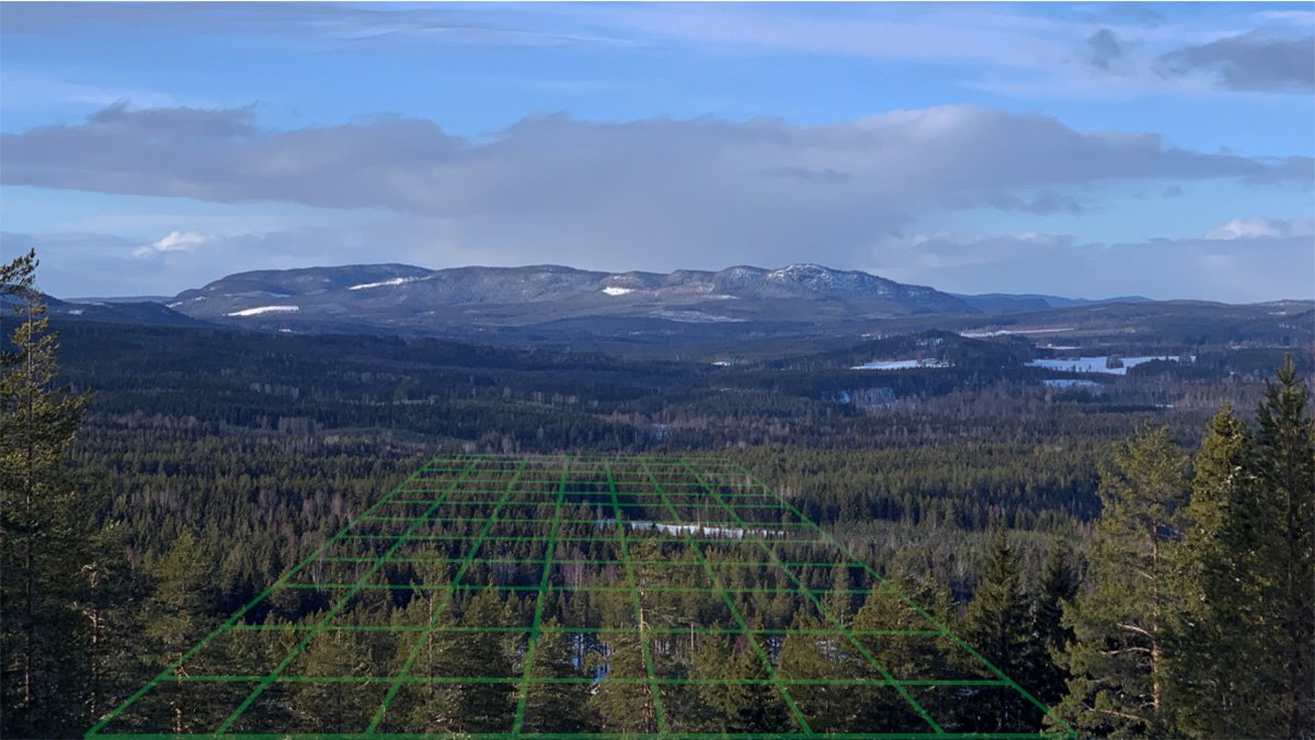 Laser visar rutor i skogslandskap