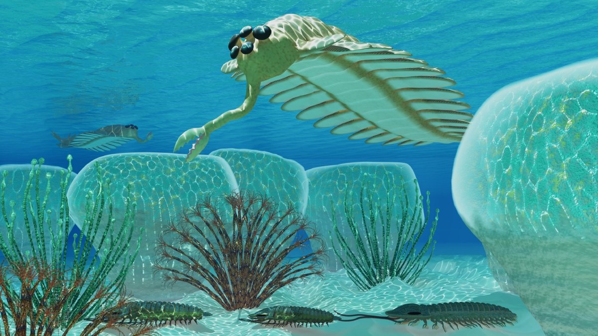 illustration av förhistoriskt marint leddjur med snabel, Opabinia.