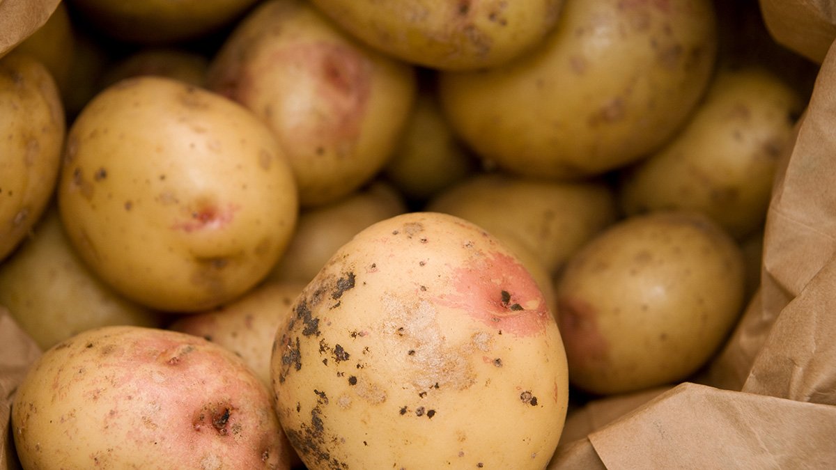 Potatisar i påse