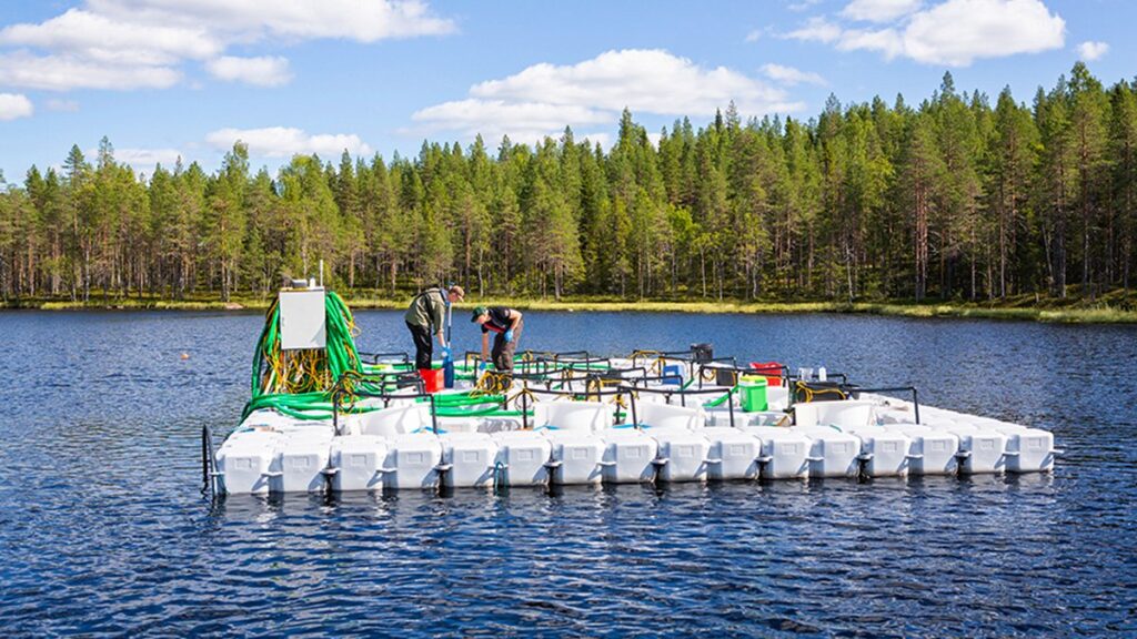 Forskare står på en mesokosm, en flytande vattenbehållare, i färd med att undersöka vattnet.