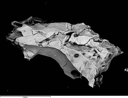 Mikrometeorit, ett kromitkorn i förstoring utvunnet ur kalksten vid Kinnekulle. Foto: Birger Schmitz