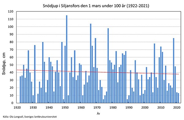 Mätningar av snödjup i Siljansfors den 1 mars under 100 år (1922-2021).