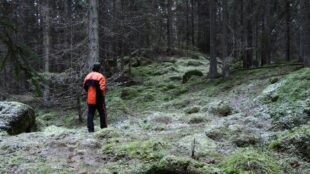 Person i rödsvart jacka i skog med frostig mossa.