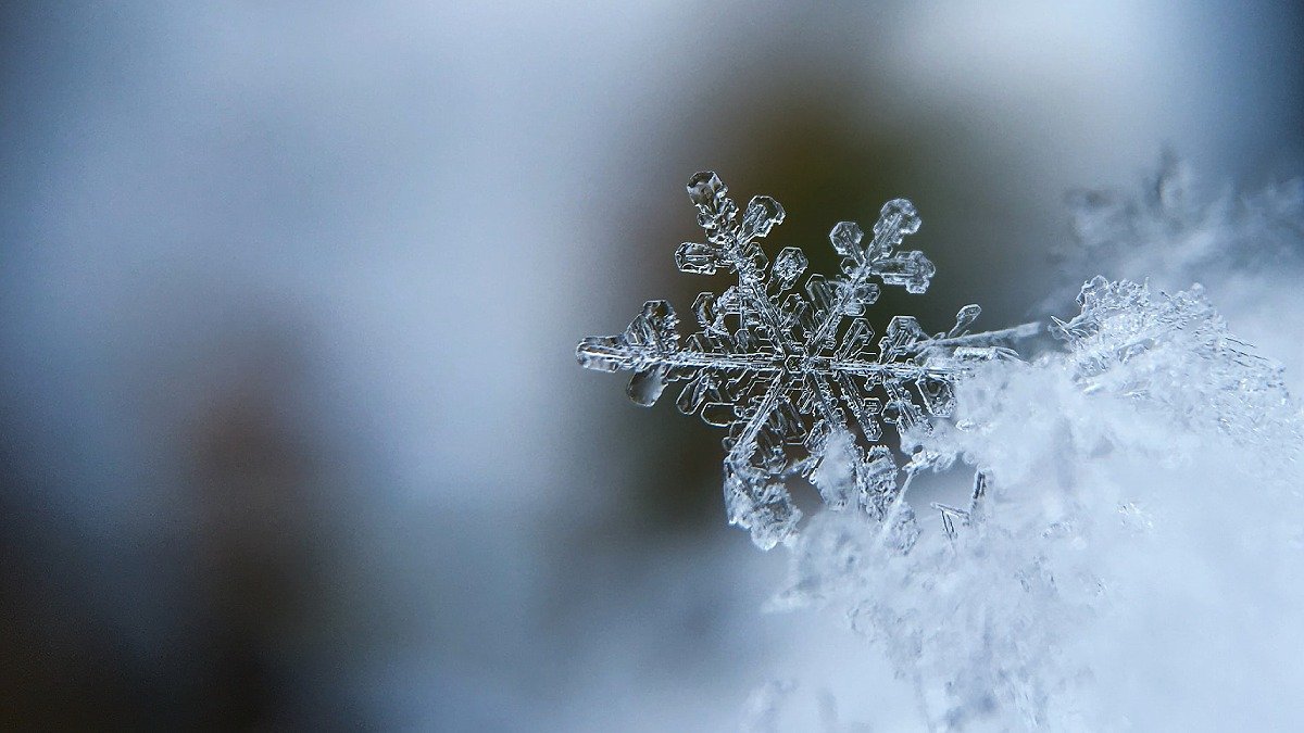 Snöflinga i närbild.