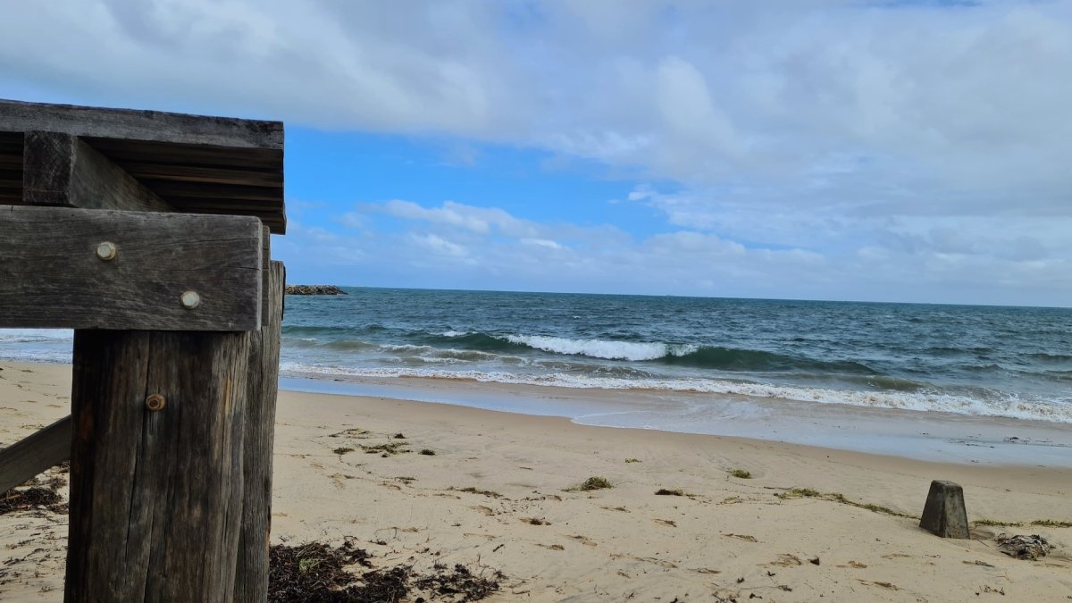 strand med träkonstruktion i förgrunden