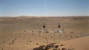 Ett foto av Saharas öken där två pilar pekar mot lämningar på marken som är rester av en gammal sjö.