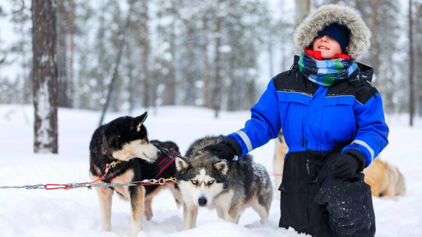 Barn i varma ytterkläder och pälskrage runt luvan på den blå jackan sitter i snö med två Siberian Husky-hundar.