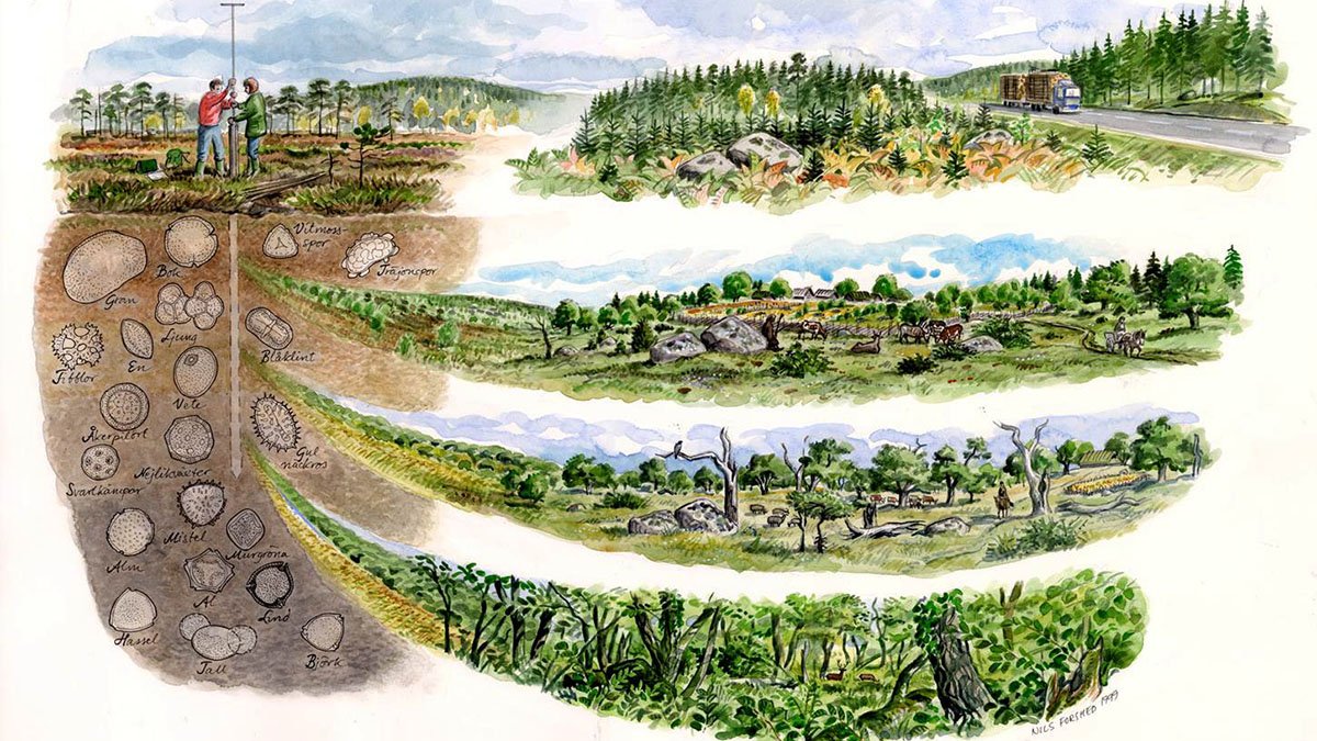 Bilden visar jordlager med tillhörande landskap under olika epoker.