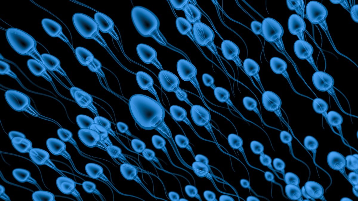 Illustration av blå simmande spermier.