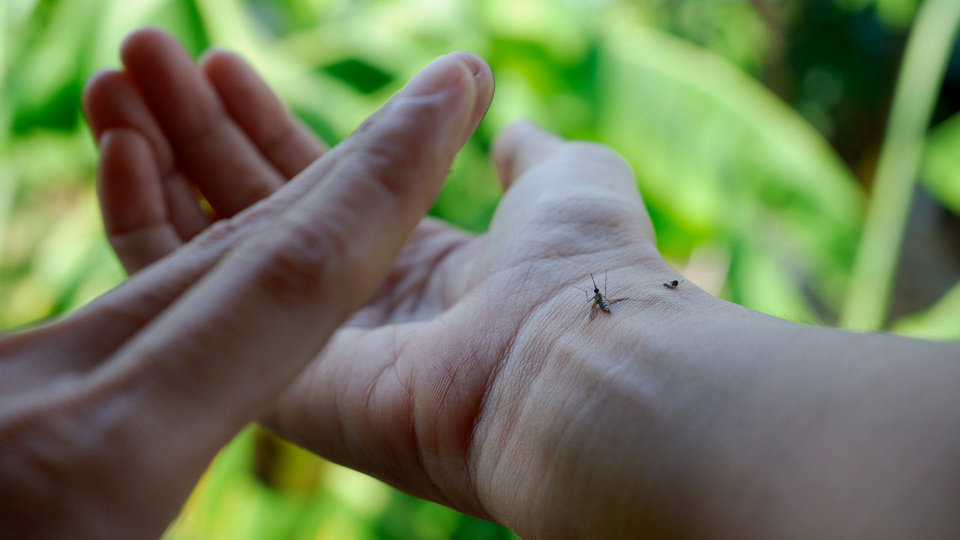 Artificial intelligence can increase preparedness for tropical diseases