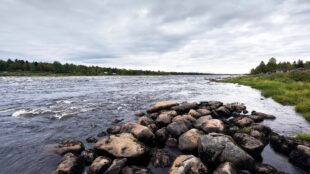 Älv i Norrland