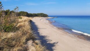 Sandstrand med öppet hav utanför.