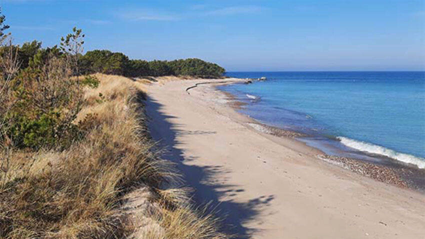 Strand och sanddynor.