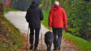 Tvámán promenerar med en hund电视台。