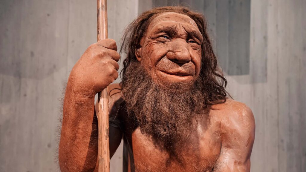 Vaxdocka av en skäggig neandertalare som hållre i en träpinne eller spjut.