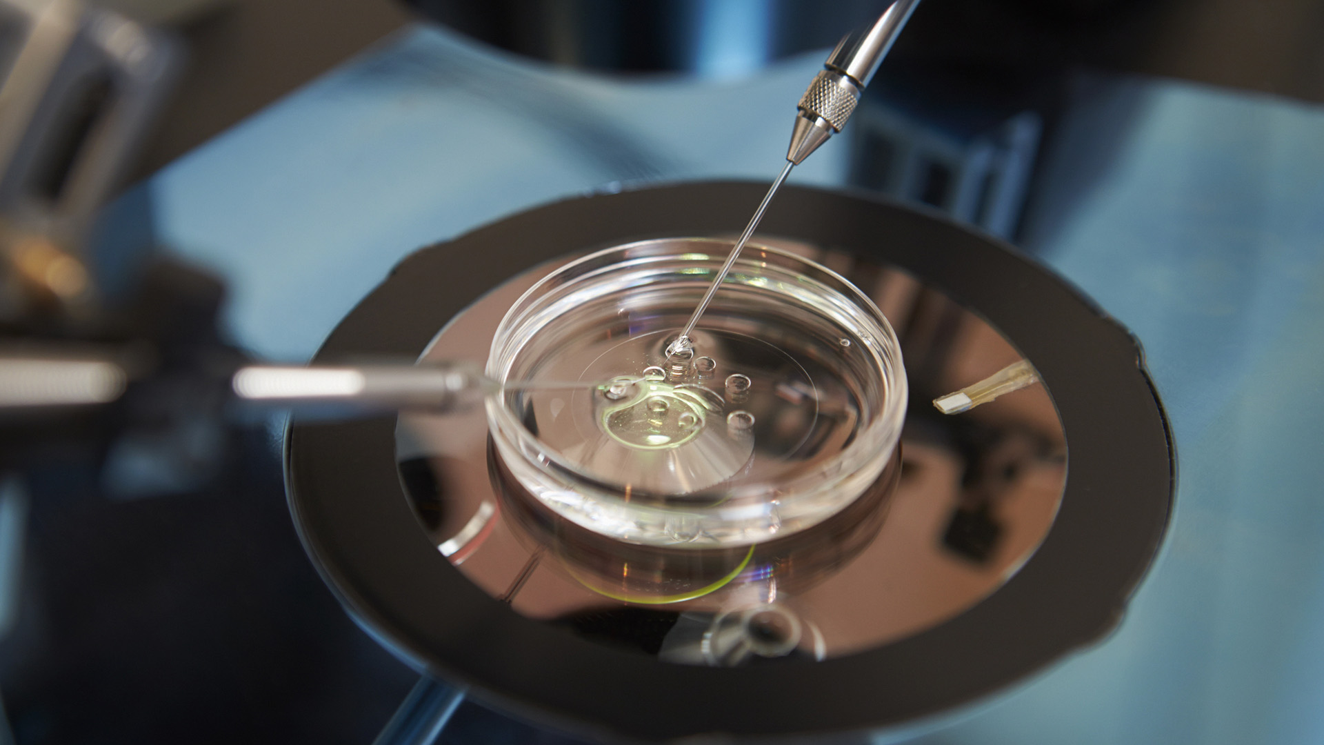 IVF-befruktning i labbmiljö